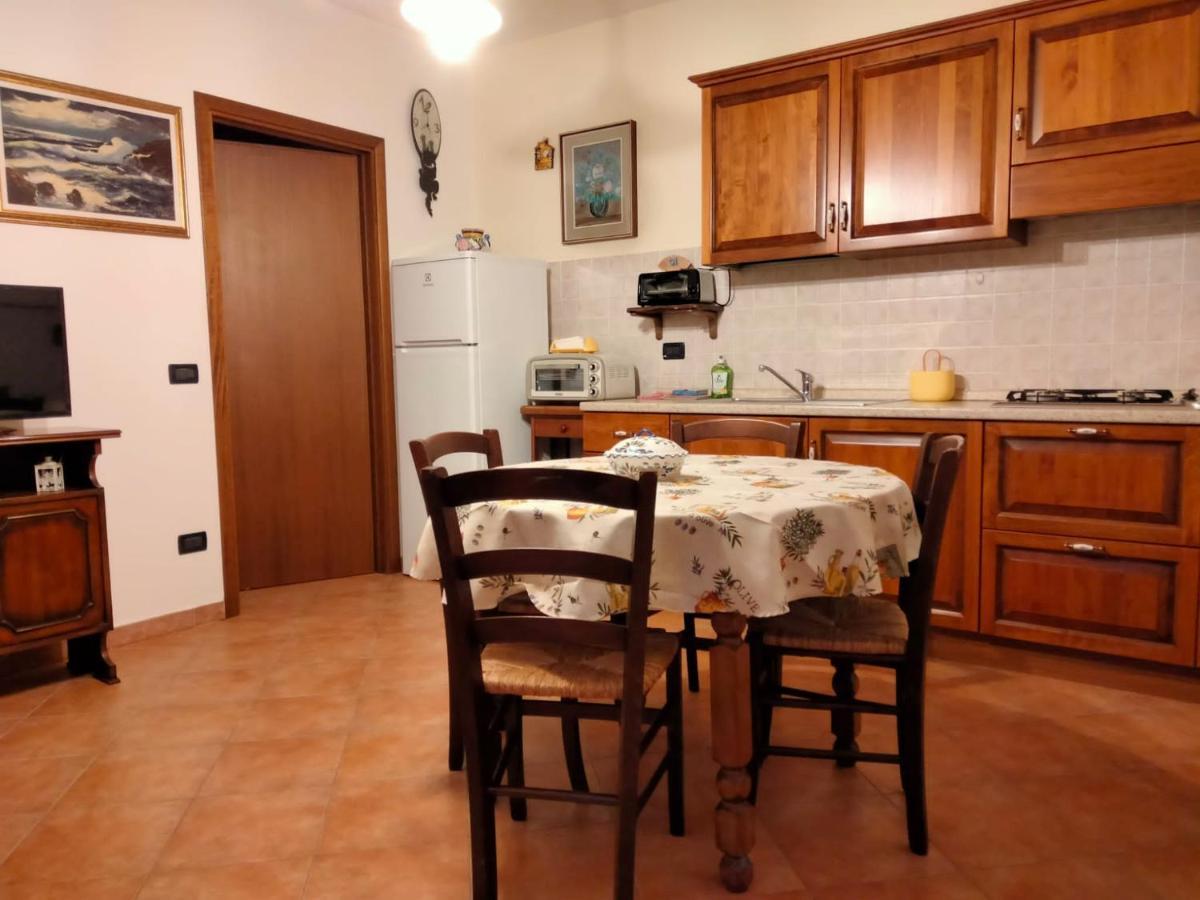 Solerio 4 Montescudaio